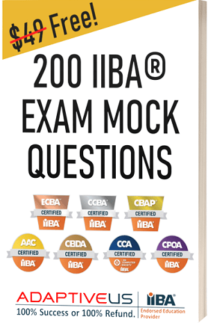 200 IIBA Mock Questions Cover Page 3D